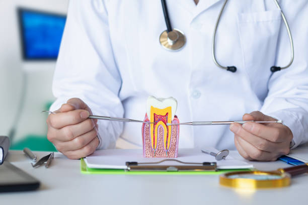 Best Emergency Dental Care for Abscessed Tooth in Vernon Hls, IL